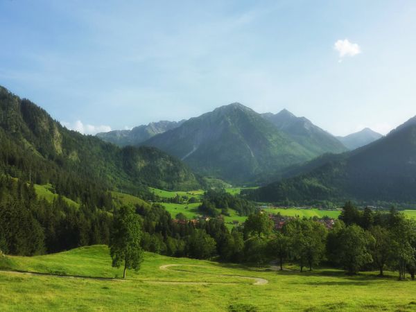 landskap,natur,skog,Berg,himmel,äng