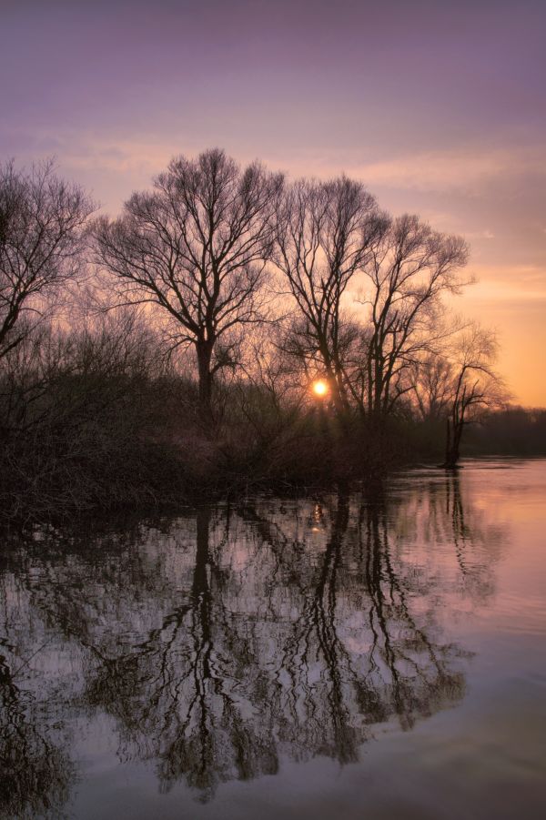 Landschaft, Baum, Wasser, Natur, Ast, Schnee