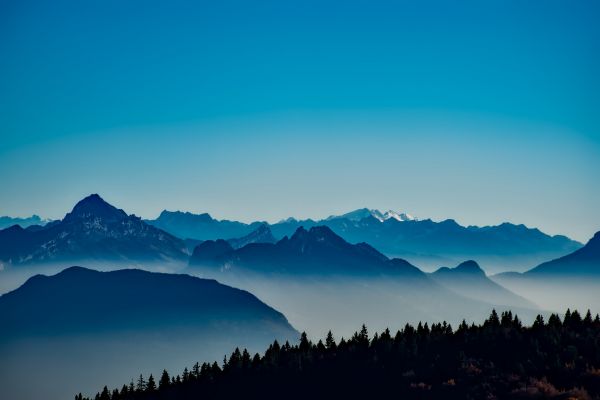 paesaggio,natura,foresta,natura selvaggia,montagna,orizzonte