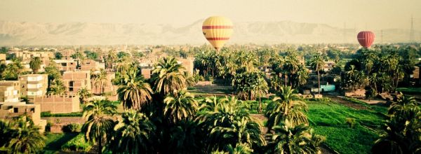 balloon,hot air balloon,field,flower,town,crop