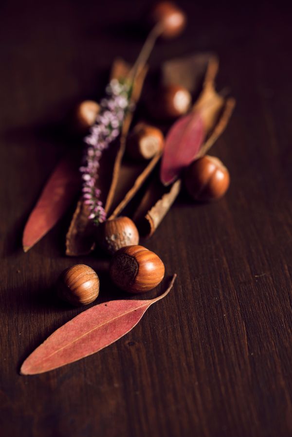 planta,madera,flor,comida,hoja,otoño