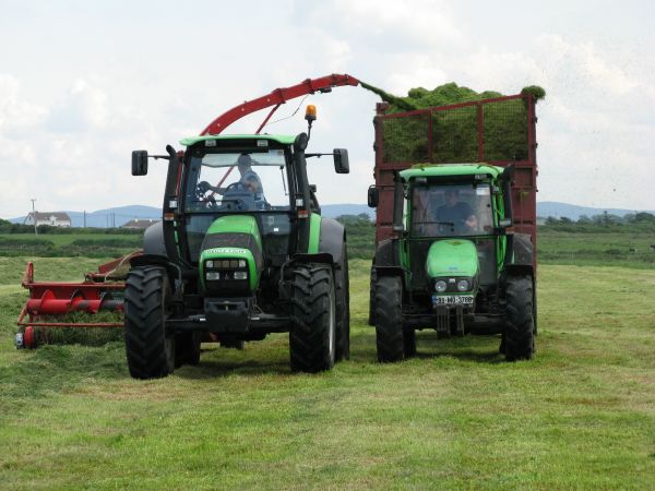 trabalhos,trator,grama,campo,Fazenda,Prado