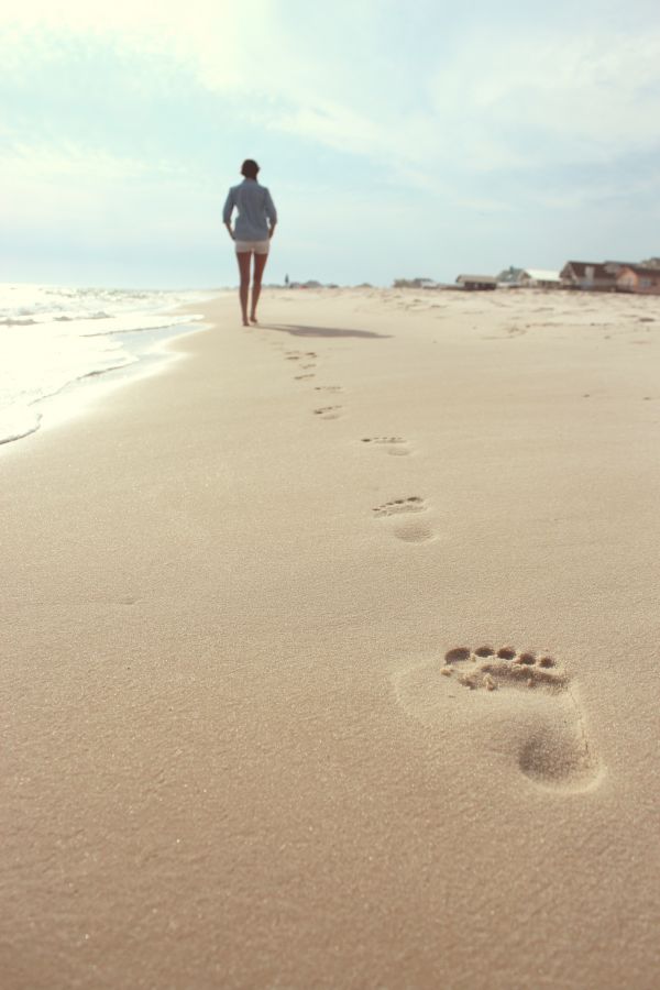 plage, mer, côte, le sable, océan, dune