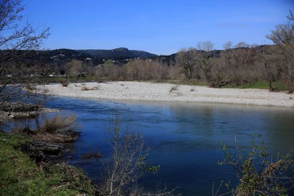 Landschaft,Baum,Wasser,Bach,Sumpf,Wildnis