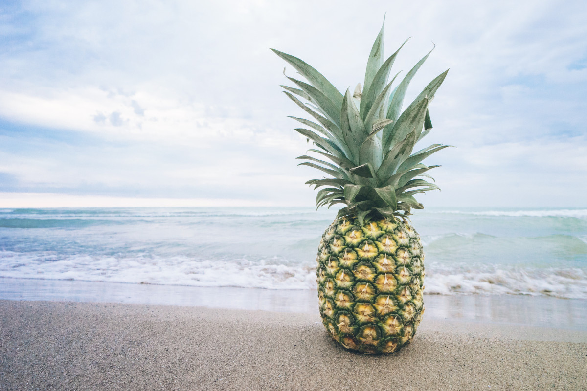 plantar, fruta, Comida, produzir, botânica, abacaxi, coco, Planta de florescência, Bromeliáceas, Planta de terra, São escalas, Família de palmeiras