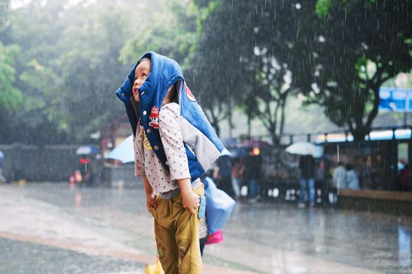 Bokeh,brouiller,rue,pluie,garçon,enfant