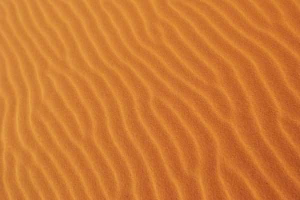 paysage,le sable,désert,dune,bois,sol