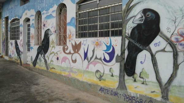 calle,pájaro,la carretera,pared,pintar,pintada