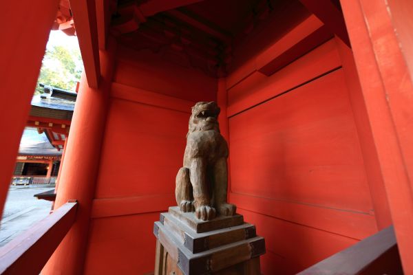 architecture,high,red,color,lion,religious