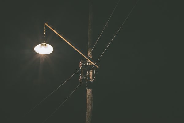 branch,light,night,wing,wood,dark