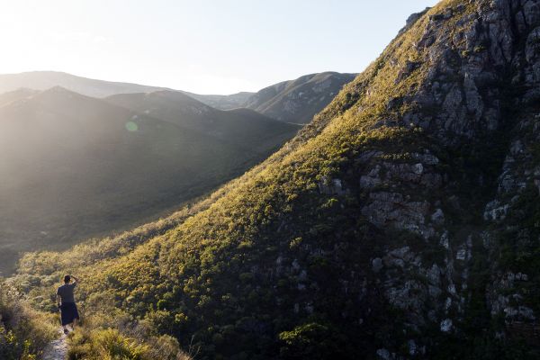 peisaj, natură, stâncă, pustie, mers, pădure