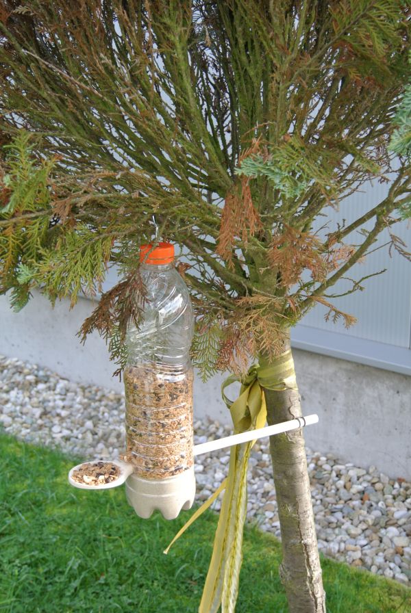 árbol, rama, pájaro, planta, flor, alimentar