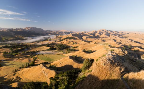 paysage,arbre,région sauvage,Montagne,colline,désert