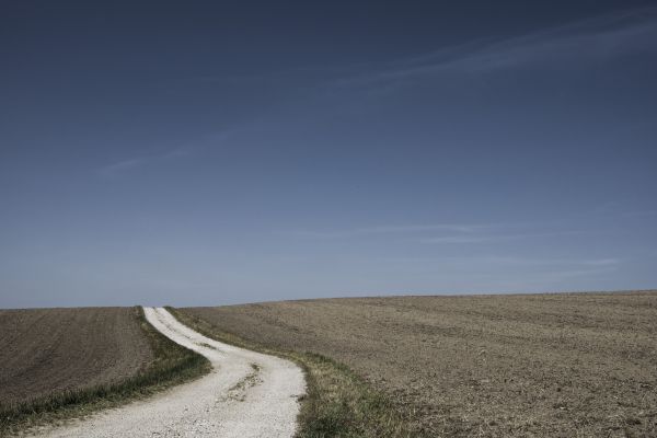 landschap, horizon, wolk, pad, gras, buitenshuis