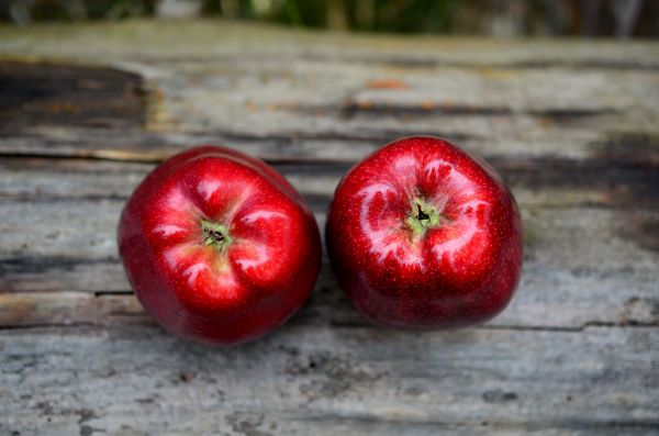 Apfel,Pflanze,Frucht,Blume,reif,Lebensmittel