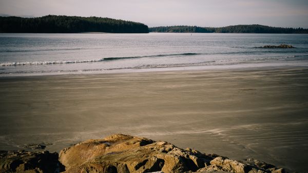 strand, zee, kust, water, natuur, zand