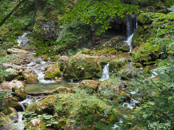 air, alam, batu, air terjun, hutan, gurun