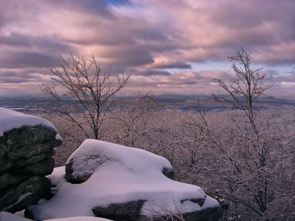 景观,树,性质,森林,荒野,岩