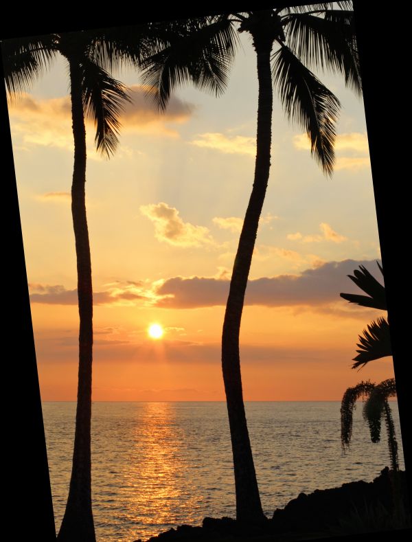 playa, paisaje, mar, costa, árbol, agua