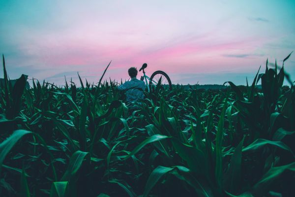 paysage,la nature,herbe,ciel,la personne,le coucher du soleil