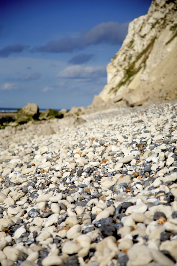 strand,landskap,hav,kust,vatten,natur