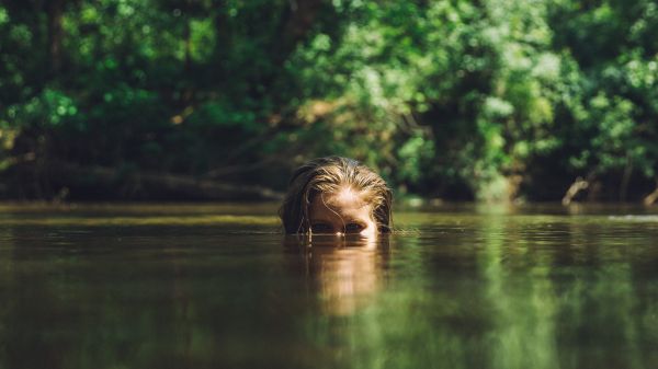 Baum,Wasser,Natur,Wald,Sumpf,Wildnis