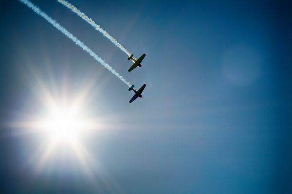 vinge,himmel,fly,flygning,fly,blå