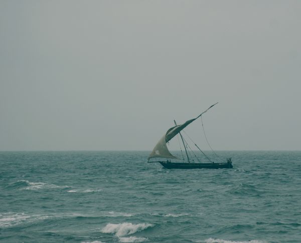 море,ветроходство,лодка,превозно средство,платно,океан