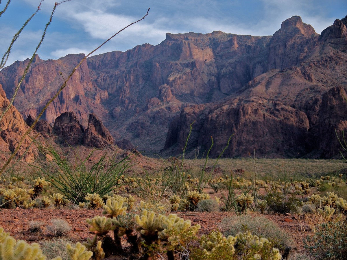 landskab, klippe, ødemark, bjerg, kaktus, tørre, ørken, sø, dal, bjergkæde, tør, naturskøn, efterår, canyon, Nationalpark, arizona, udendørs, vest, geologi, plateau, vestlig, arizona ørken, sydvest, wadi, landskabsform, Kofa, geografisk træk, bjergrige landskabsformer