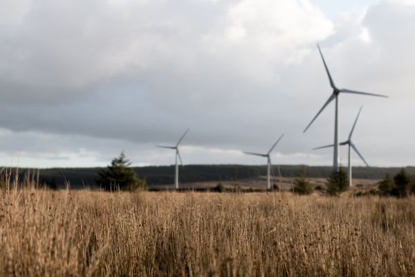 long grass,field,prairie,wind,machine,wind turbine