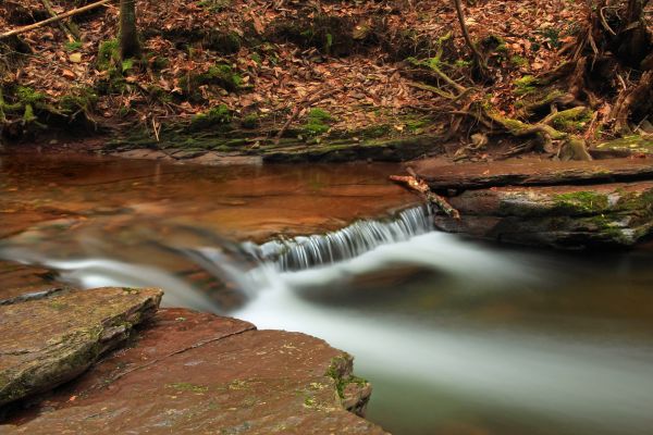 pemandangan,pohon,air,alam,hutan,batu