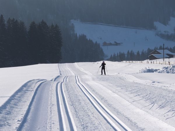 snø,vinter,sti,kjøretøy,vær,stå på ski