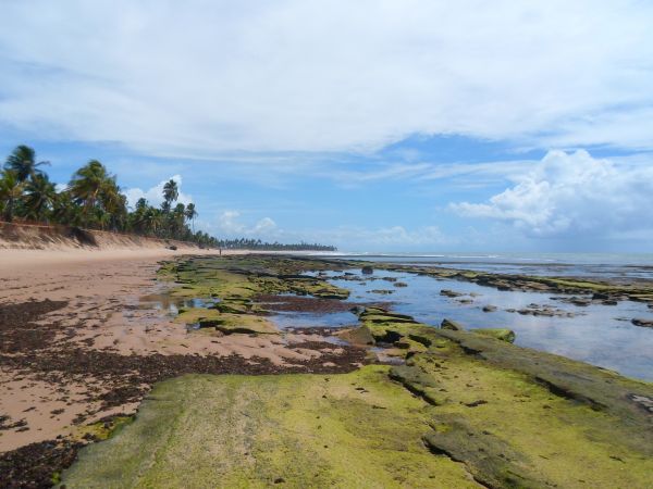 spiaggia,paesaggio,mare,costa,oceano,palude