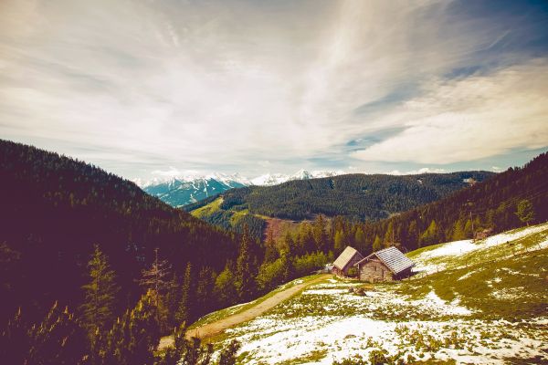 пейзаж, дерево, природа, лес, пустыня, гора