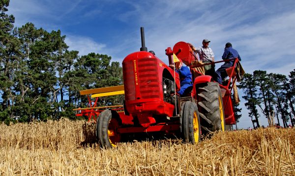 campo, Fazenda, colheita, veículo, plantar, trigo