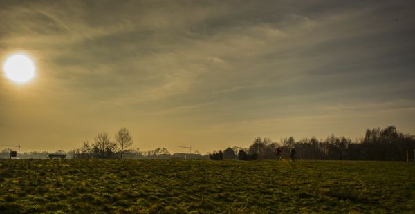 krajina, strom, príroda, horizont, svetlo, mrak