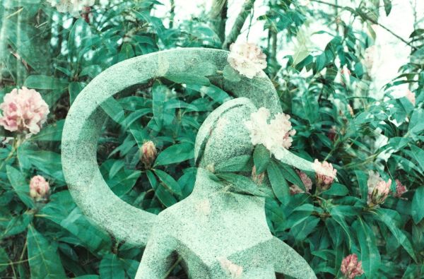 fleur,femme,pierre,statue,jungle,parc