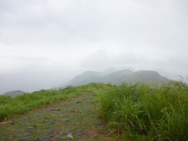 paysage,la nature,horizon,Montagne,nuage,herbe