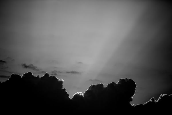 Landschaft, Baum, Natur, Horizont, Licht, Silhouette