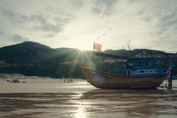 海滩, 海, 滨, 水, 海洋, 景观