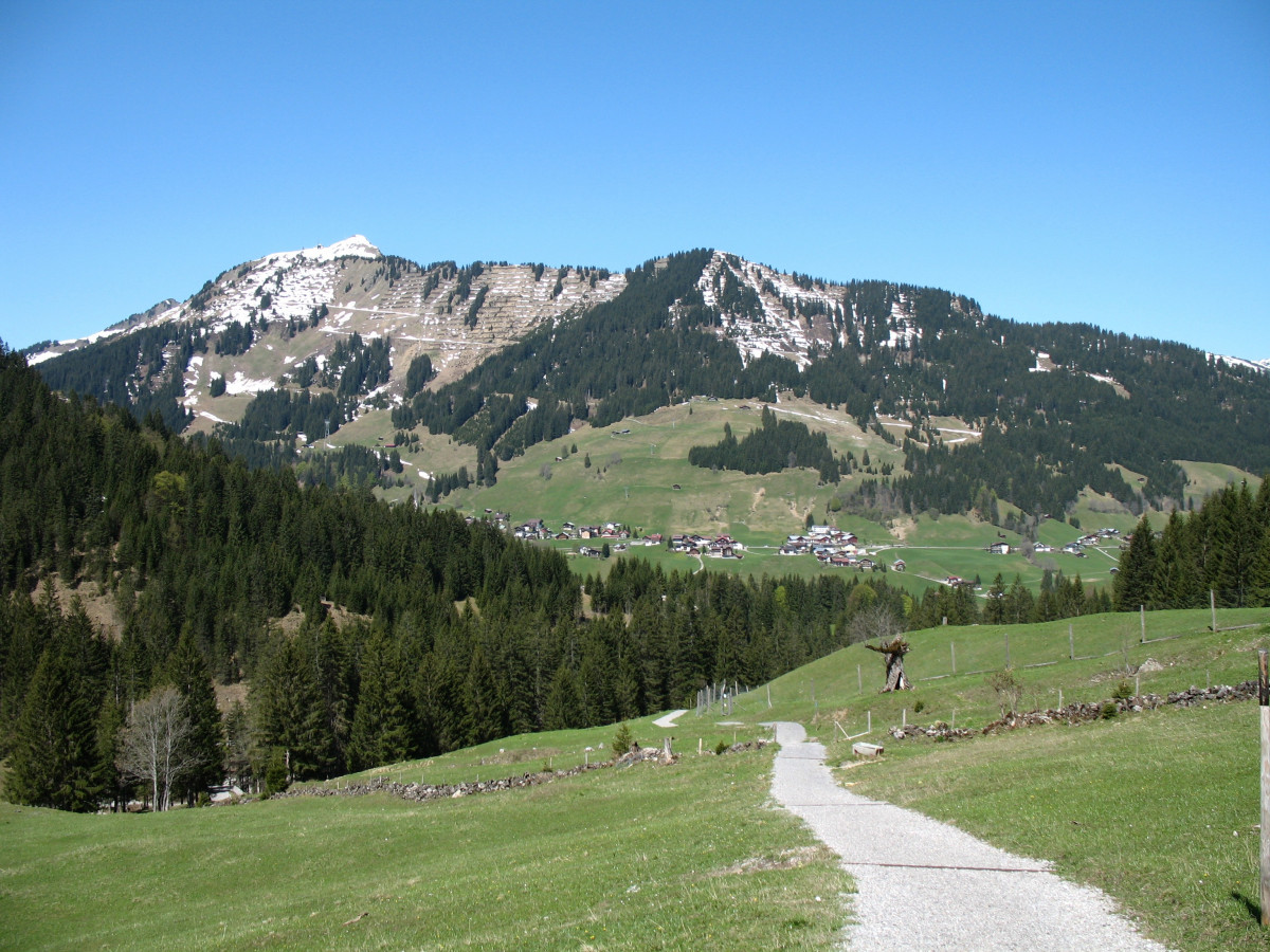 landscape, nature, walking, mountain, hiking, trail, meadow, hill, valley, mountain range, relax, holiday, ridge, climb, mountain landscape, mountaineering, trees, mountains, alps, plateau, fell, landform, in the free, mountain pass, switch off, geographical feature, mountainous landforms