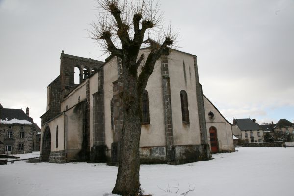 sníh, zima, Dům, strom, architektura, město