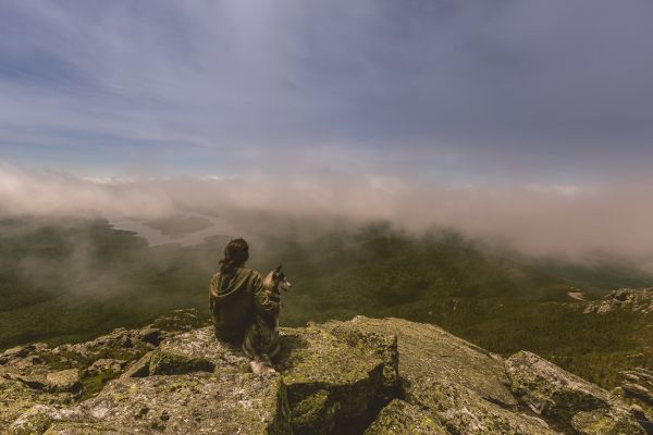 krajina, Příroda, les, Skála, divočina, osoba