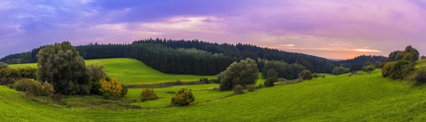 himmel,natur,bakke,græsarealer,highland,græs