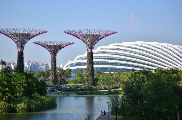 建築,構造,ブリッジ,花,建物,都市景観