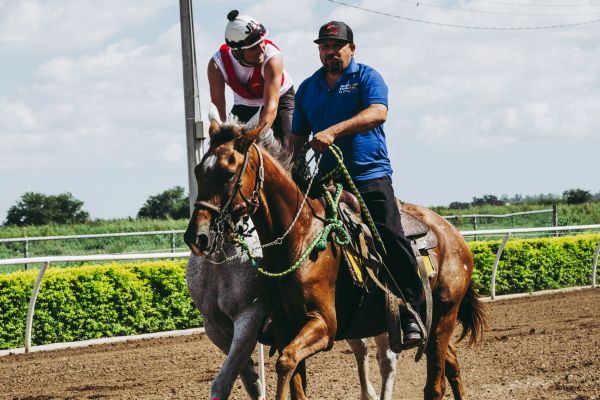 jockey, rienda, caballo, brida, Arnés de caballos, Deportes de animales