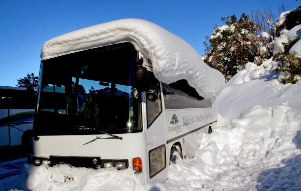 pojazd,śnieg,zimowy,pogoda,mountcook,autobusy