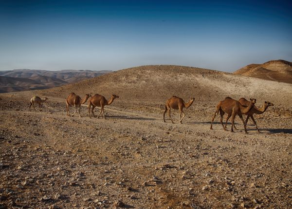 Landschaft,Natur,Sand,Rock,Wildnis,Berg