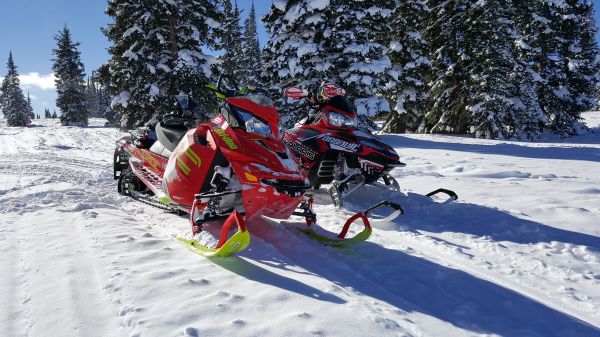 kar, kış, Araç, Kış sporu, kayak yapma, Colorado