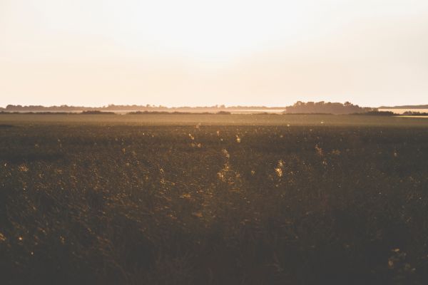 sky, horizon, ecoregion, morning, natural environment, atmospheric phenomenon